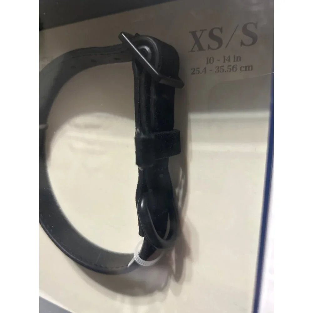 Southern Living XS/S Black Dog Collar Black 10-14 Inch